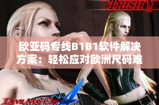 欧亚码专线B1B1软件解决方案：轻松应对欧洲尺码难题
