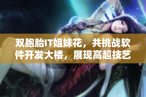 双胞胎IT姐妹花，共挑战软件开发大楼，展现高超技艺