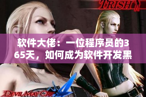 软件大佬：一位程序员的365天，如何成为软件开发黑帮大佬