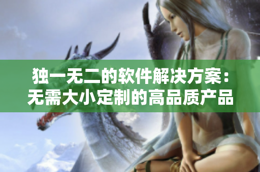 独一无二的软件解决方案：无需大小定制的高品质产品