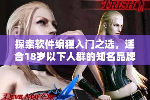 探索软件编程入门之选，适合18岁以下人群的知名品牌汇总