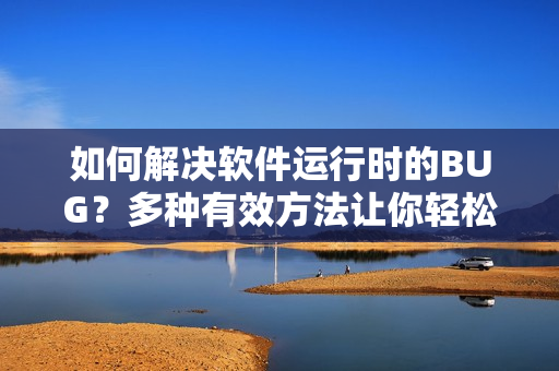 如何解决软件运行时的BUG？多种有效方法让你轻松实现！