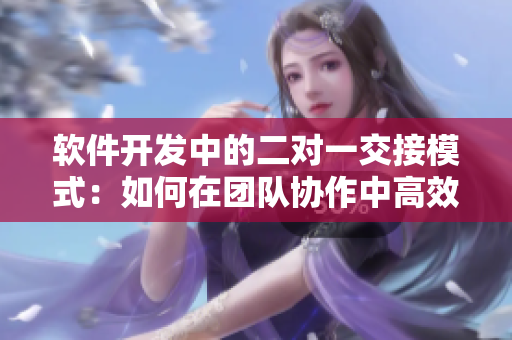软件开发中的二对一交接模式：如何在团队协作中高效完成软件交接