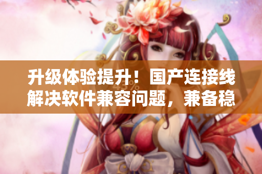 升级体验提升！国产连接线解决软件兼容问题，兼备稳定性与高效性