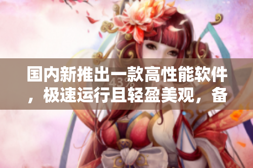 国内新推出一款高性能软件，极速运行且轻盈美观，备受好评