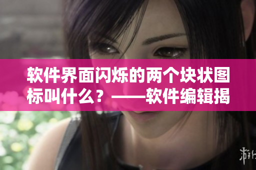 软件界面闪烁的两个块状图标叫什么？——软件编辑揭秘