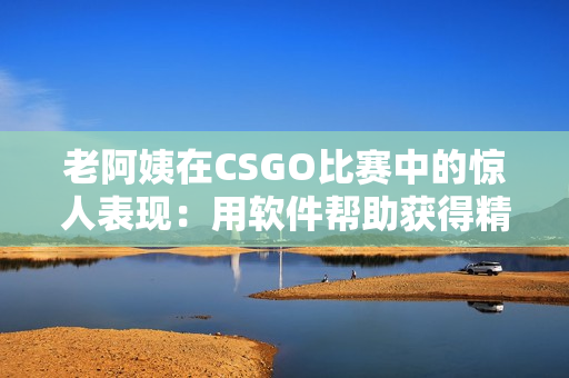 老阿姨在CSGO比赛中的惊人表现：用软件帮助获得精准射击？