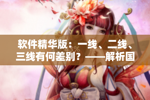 软件精华版：一线、二线、三线有何差别？——解析国产软件市场现状