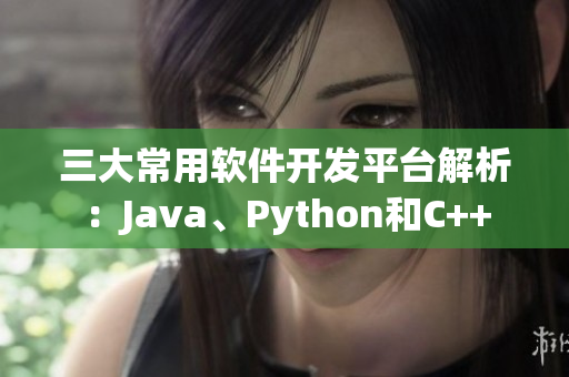 三大常用软件开发平台解析：Java、Python和C++