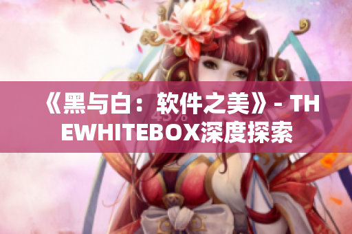 《黑与白：软件之美》- THEWHITEBOX深度探索