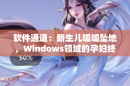软件通道：新生儿呱呱坠地，Windows领域的孕妇终于生产了