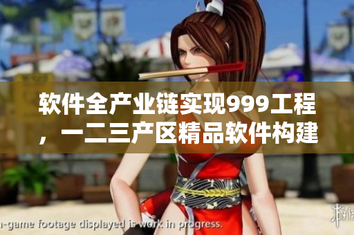 软件全产业链实现999工程，一二三产区精品软件构建国际品牌