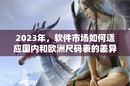 2023年，软件市场如何适应国内和欧洲尺码表的差异？