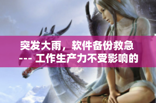 突发大雨，软件备份救急 --- 工作生产力不受影响的必备之选！