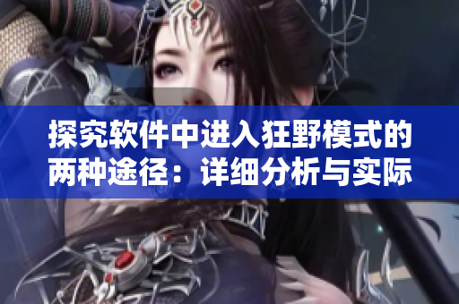 探究软件中进入狂野模式的两种途径：详细分析与实际演练