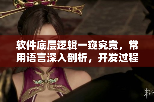 软件底层逻辑一窥究竟，常用语言深入剖析，开发过程详解