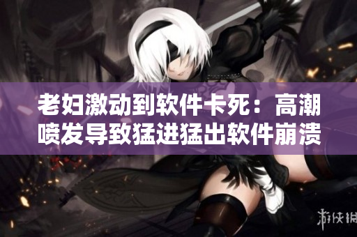 老妇激动到软件卡死：高潮喷发导致猛进猛出软件崩溃