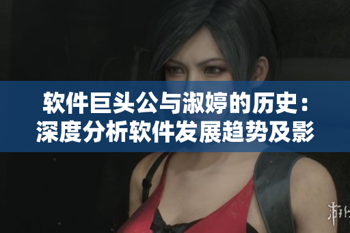 软件巨头公与淑婷的历史：深度分析软件发展趋势及影响力