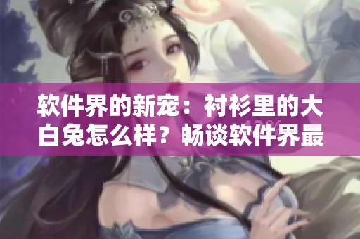 软件界的新宠：衬衫里的大白兔怎么样？畅谈软件界最流行的新潮流！
