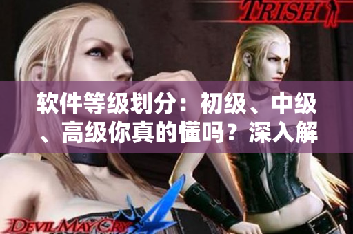 软件等级划分：初级、中级、高级你真的懂吗？深入解析软件等级规范