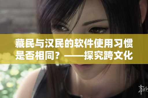 藏民与汉民的软件使用习惯是否相同？——探究跨文化背景下的软件用户观念差异