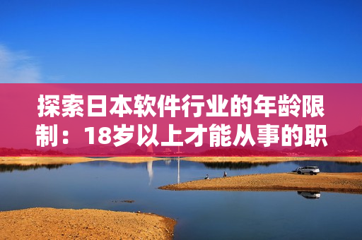 探索日本软件行业的年龄限制：18岁以上才能从事的职位
