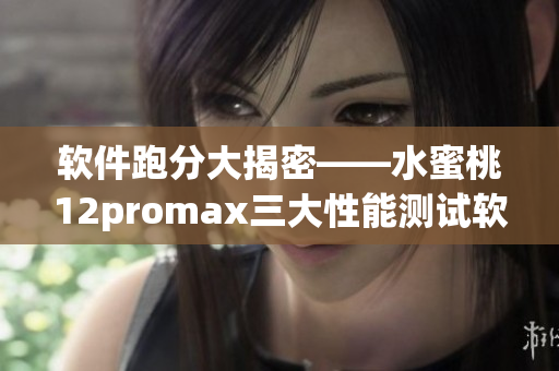 软件跑分大揭密——水蜜桃12promax三大性能测试软件详细评测