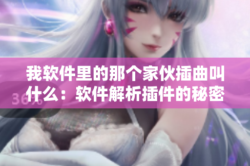 我软件里的那个家伙插曲叫什么：软件解析插件的秘密