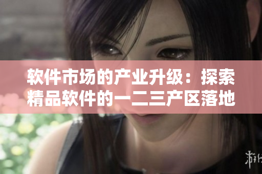 软件市场的产业升级：探索精品软件的一二三产区落地案例