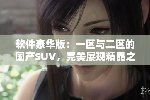软件豪华版：一区与二区的国产SUV，完美展现精品之美