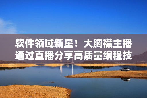 软件领域新星！大胸襟主播通过直播分享高质量编程技巧