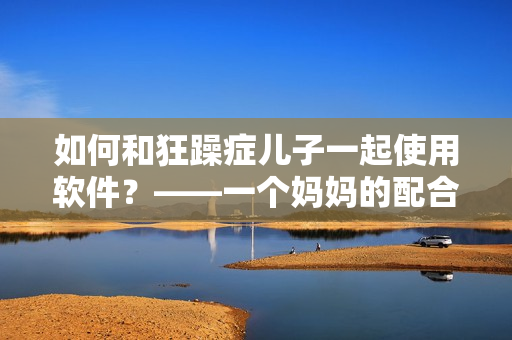 如何和狂躁症儿子一起使用软件？——一个妈妈的配合策略