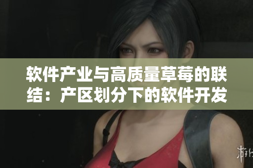 软件产业与高质量草莓的联结：产区划分下的软件开发策略