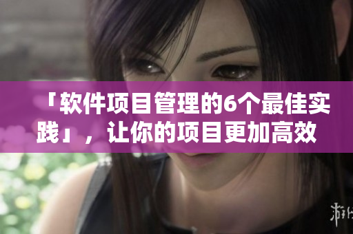 「软件项目管理的6个最佳实践」，让你的项目更加高效、可靠！