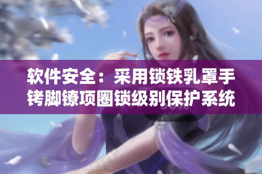 软件安全：采用锁铁乳罩手铐脚镣项圈锁级别保护系统的理由