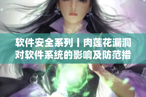 软件安全系列丨肉莲花漏洞对软件系统的影响及防范措施