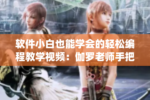 软件小白也能学会的轻松编程教学视频：伽罗老师手把手教你Python技术