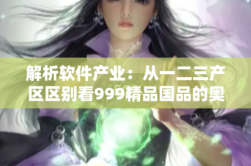 解析软件产业：从一二三产区区别看999精品国品的奥秘