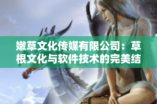 嫩草文化传媒有限公司：草根文化与软件技术的完美结合