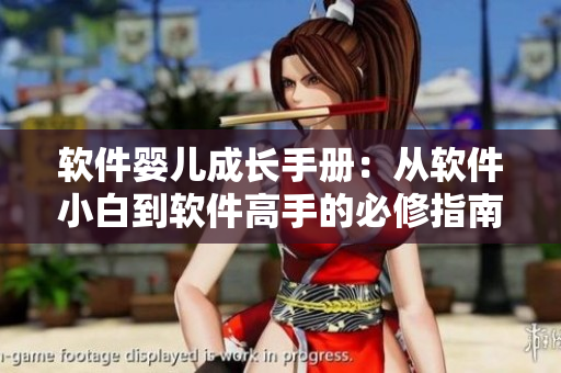 软件婴儿成长手册：从软件小白到软件高手的必修指南