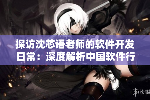 探访沈芯语老师的软件开发日常：深度解析中国软件行业发展现状