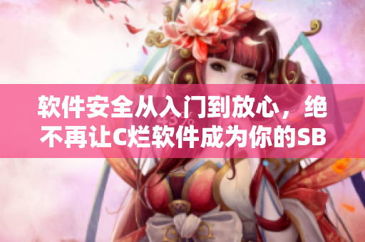 软件安全从入门到放心，绝不再让C烂软件成为你的SB视频！