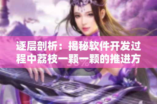 逐层剖析：揭秘软件开发过程中荔枝一颗一颗的推进方法