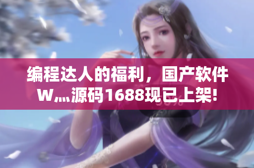 编程达人的福利，国产软件W灬源码1688现已上架!