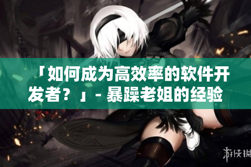 「如何成为高效率的软件开发者？」- 暴躁老姐的经验分享