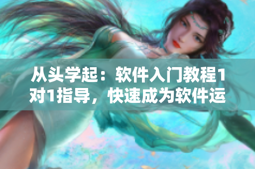 从头学起：软件入门教程1对1指导，快速成为软件运用高手！