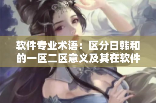 软件专业术语：区分日韩和的一区二区意义及其在软件开发中的应用
