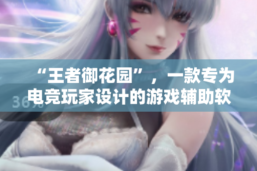 “王者御花园”，一款专为电竞玩家设计的游戏辅助软件，助你成为最强王者！