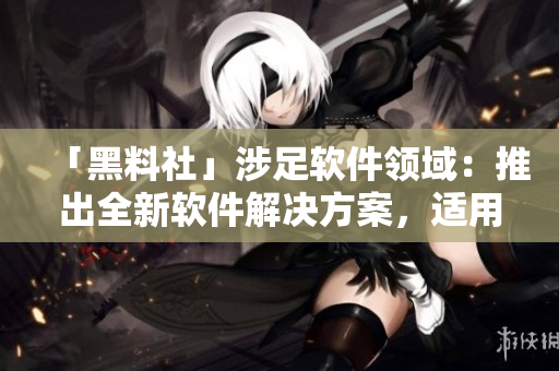 「黑料社」涉足软件领域：推出全新软件解决方案，适用于多种行业场景。