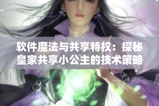 软件魔法与共享特权：探秘皇家共享小公主的技术策略
